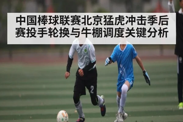 中国棒球联赛北京猛虎冲击季后赛投手轮换与牛棚调度关键分析